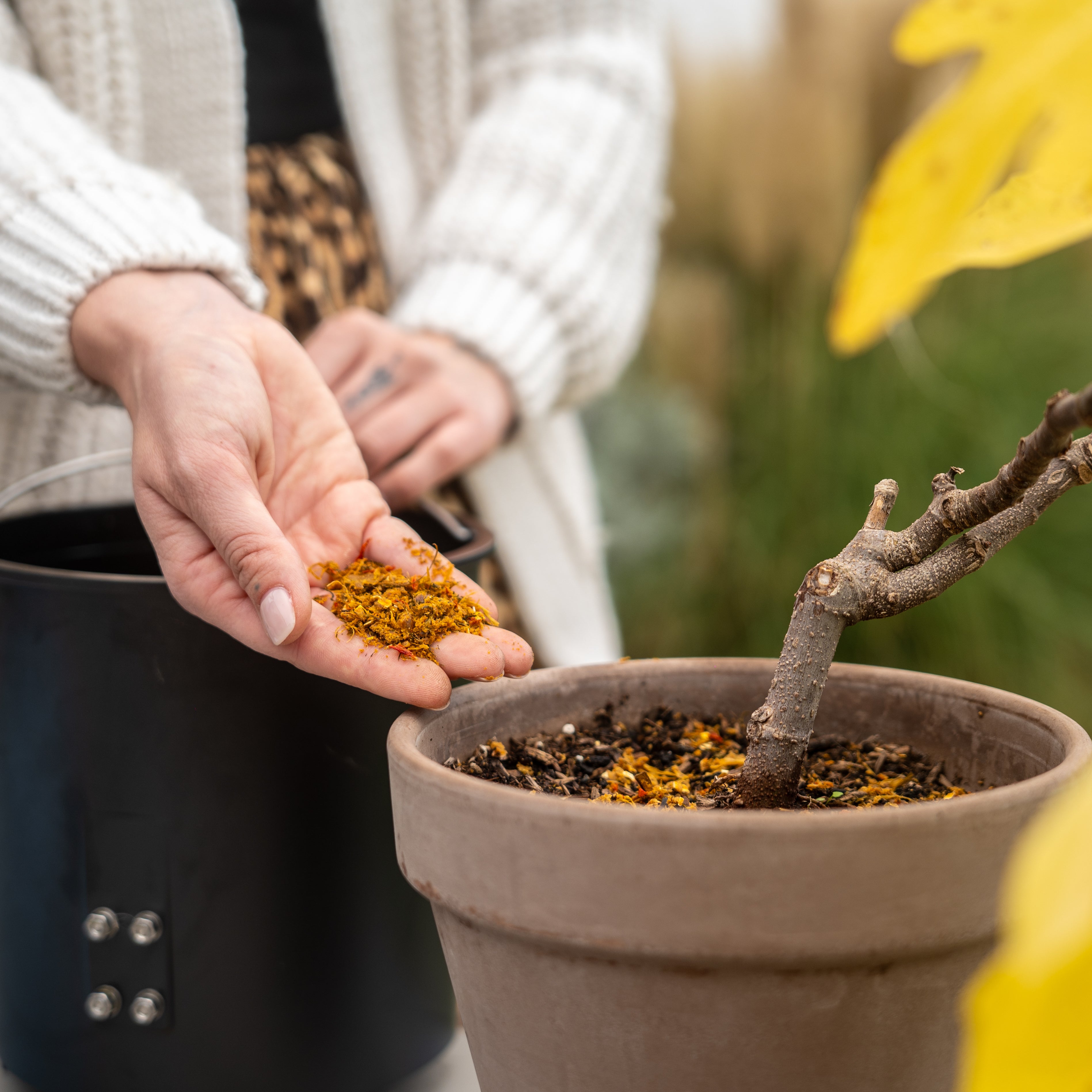 WeEarth 2.0 - Il miglior investimento per la tua cucina e il tuo giardino